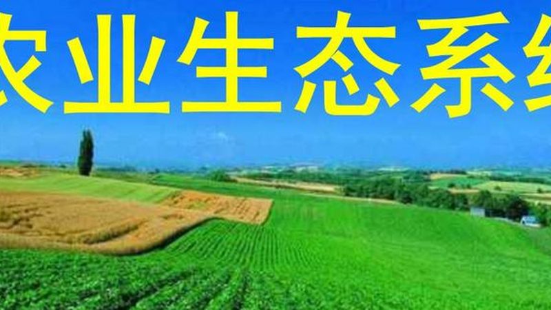 小标题：补贴政策，了解为先