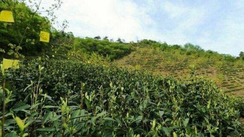 智慧农业种植系统：揭秘其规格型号与选型逻辑
