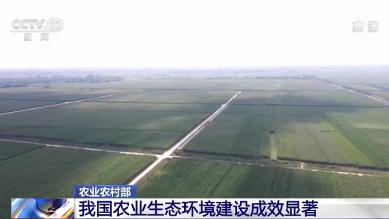 上海生鲜配送员：幕后英雄，保障市民“舌尖上的安全