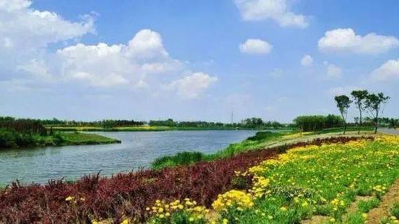 农村合作社联合社：从零开始，共建农业新生态**