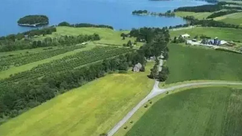 果蔬配送损耗控制：揭秘降低损耗的关键因素