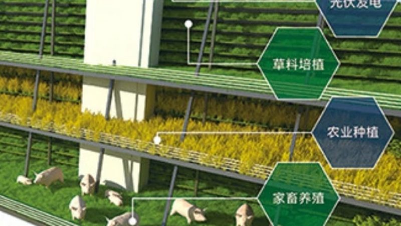 在材料中，详细阐述项目的背景和需求至关重要。这包括但不限于：