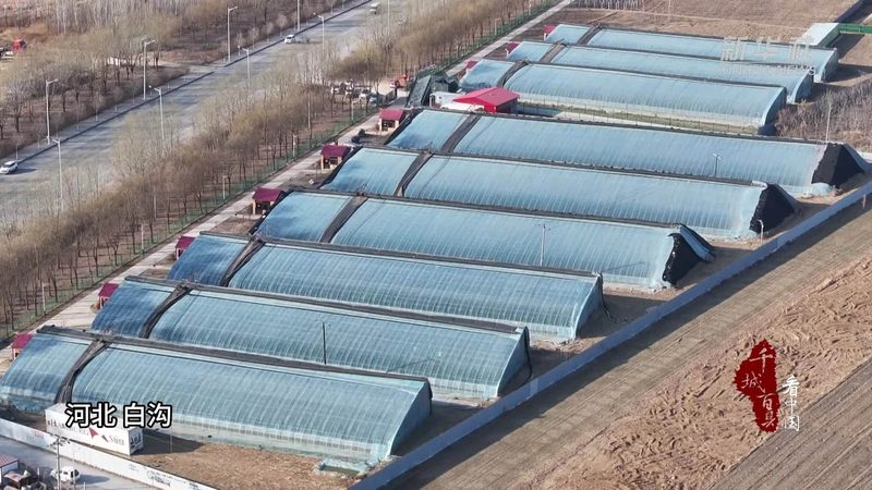 在众多绿色食品检测公司中，以下几家公司在广州具有较高的知名度和良好的口碑：