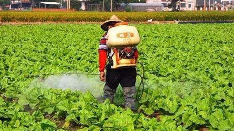 水肥一体化：精准灌溉施肥，助力农业高效生产**