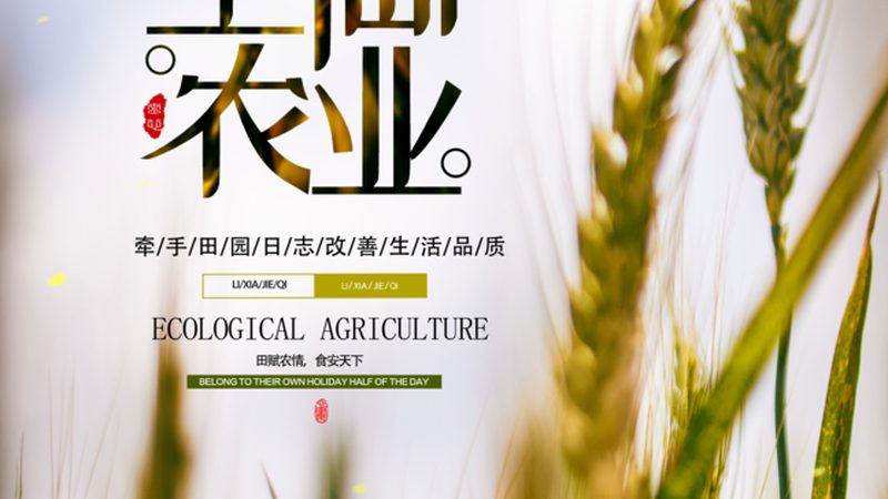生态农业产业链设计的核心要素